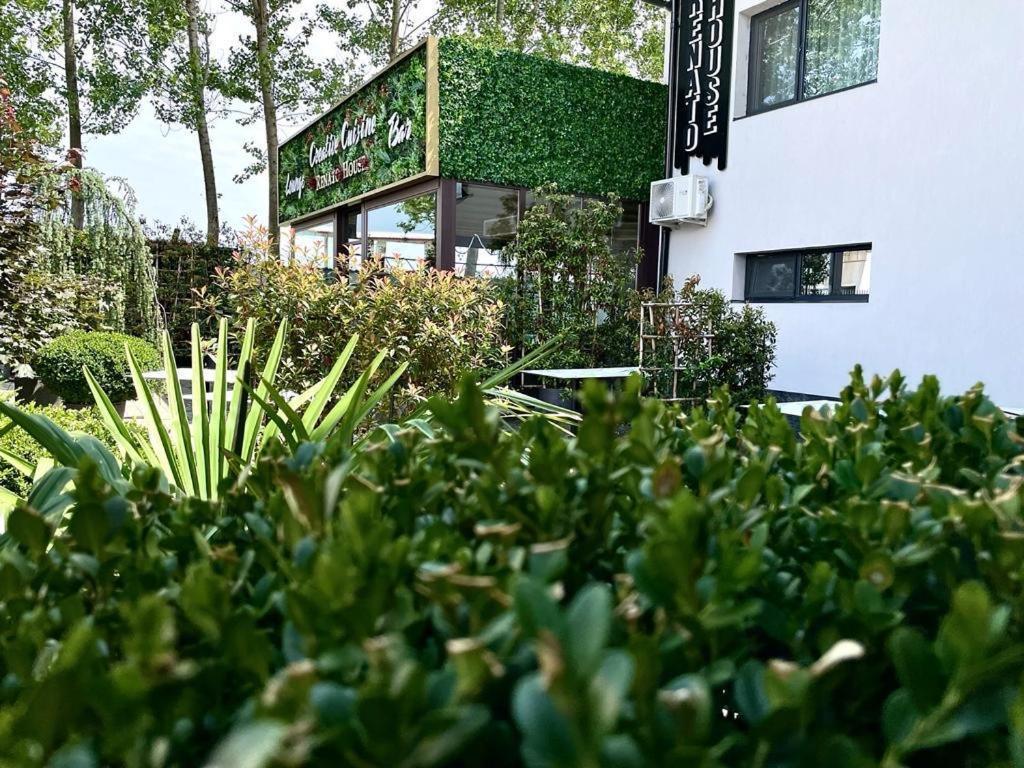 Renato House Affittacamere